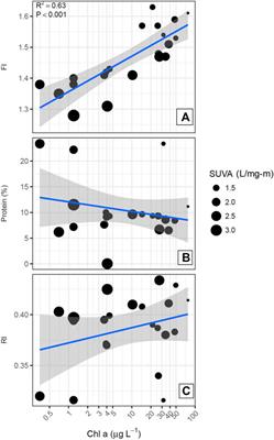 Phytoplankton Drivers of Dissolved Organic Material Production in Colorado Reservoirs and the Formation of Disinfection By-Products